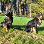 Ersteller:in Susanne Profilbild