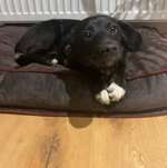 Ersteller:in Nina Profilbild