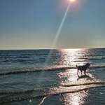 Ersteller:in Alica Profilbild