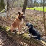 Ersteller:in Katja's Profilbild