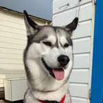 Ersteller:in Anke Profilbild