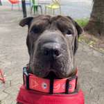 Ersteller:in Tina Profilbild