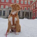 Ersteller:in Carsten Profilbild