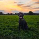 Ersteller:in Kathrin Profilbild