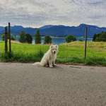 Ersteller:in Norman Profilbild