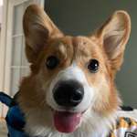 Ersteller:in Ola Profilbild