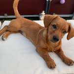 Ersteller:in Tristan Profilbild