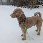 Ersteller:in Maike Profilbild