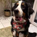 Ersteller:in Maresa Profilbild