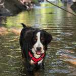 Ersteller:in Maresa Profilbild