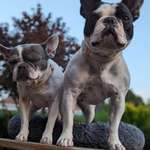 Ersteller:in H. Profilbild