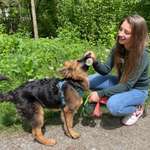 Ersteller:in Aylin Profilbild