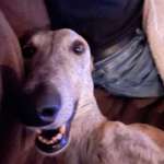 Ersteller:in Mela Profilbild