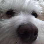 Ersteller:in Georgios Profilbild