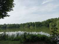 Hundeauslaufgebiet-Klutensee Lüdinghausen-Bild