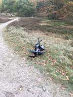 Hundeauslaufgebiet-Neugraben-Bild