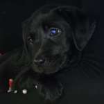 Ersteller:in Sarah Profilbild