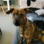 Ersteller:in Melanie Profilbild