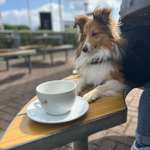 Ersteller:in Elli Profilbild