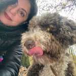 Ersteller:in Antonia Profilbild