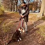 Ersteller:in Monky D. Profilbild