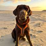 Ersteller:in Daniela Profilbild