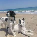 Ersteller:in Andrea Profilbild