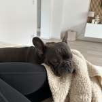 Ersteller:in Lena Profilbild