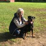 Ersteller:in Heike Profilbild