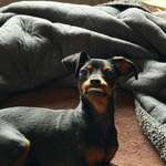 Ersteller:in L Profilbild