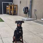 Ersteller:in L Profilbild