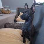 Ersteller:in Ariane Profilbild