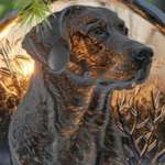 Ersteller:in Björn Profilbild