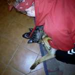 Ersteller:in Ronja Marie Profilbild