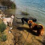 Ersteller:in Pauline Profilbild