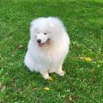 Ersteller:in Cl Profilbild