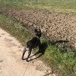 Ersteller:in Dana Profilbild