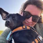 Ersteller:in Samantha Profilbild