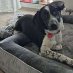 Ersteller:in Andrea Profilbild