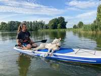 Ersteller:in Nico Profilbild