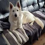 Ersteller:in Tina & Tim Profilbild