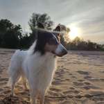 Ersteller:in Lena Profilbild