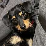 Ersteller:in Bine Profilbild