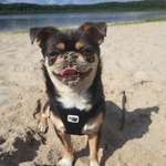 Ersteller:in Lisa Profilbild