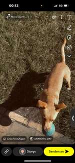 Suchmeldung-Günther-Bild