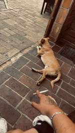 Suchmeldung-Günther-Bild