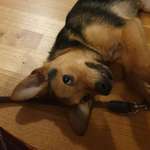 Ersteller:in Katharina Profilbild