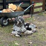 Ersteller:in Jana Profilbild