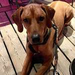 Ersteller:in Tanja Profilbild