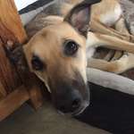 Ersteller:in Ika Profilbild